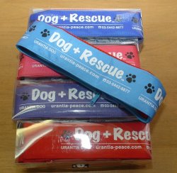 保冷剤で首を冷却するDog+Rescueクーリングカラー