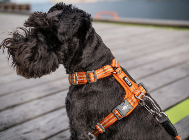 北欧デンマークデザインDOG COPENHAGENコンフォートウォークエア