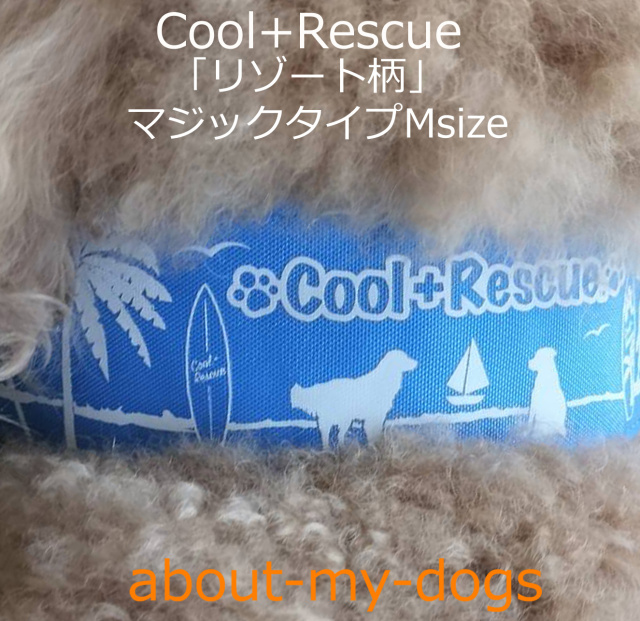 日本製・夏の熱中症対策必需品 COOL+Rescueクールネック/M/L/LLサイズ