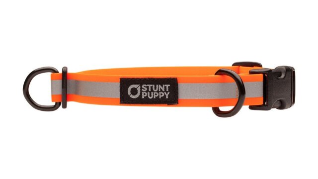 パピー様 Amazon | GUZZY(ガジィ―) 犬用おもちゃ GUZZY ガジィ―パピー