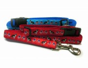 犬種別カラーリードセット　Boston Terrier ボストンテリア