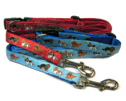 犬種別カラーリードセット　Caｖalier King Charles キャバリア