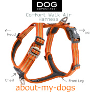 EZYDOG LUPINE ROGZ About my dogs では実際に使って気に入った