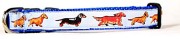 犬種別カラーリードセット　Miniature Dachs Hundミニチュアダックス