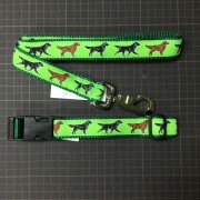 犬種別カラーリードセット　Flat-Coated Retriever  フラットコーテッドレトリバー