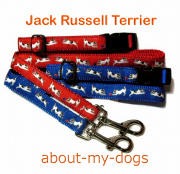 犬種別カラーリードセット　Jack Russel Terrier　ジャックラッセルテリア
