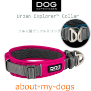 EZYDOG LUPINE ROGZ About my dogs では実際に使って気に入った