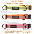 スタントパピー　ゴードッググロウ ドライカラー