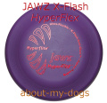 JAWZ X-Flashに待望のハイパーフレックス
