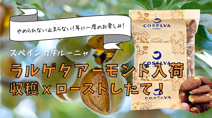 ラルゲタアーモンド