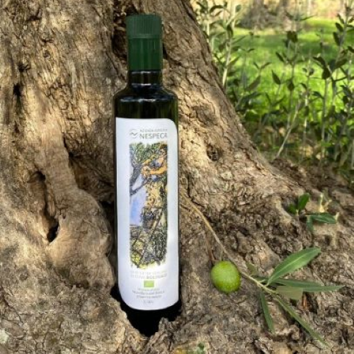 2025年新物入荷！リニューアル】ネスペカEXVオリーブ油 BIO IGP