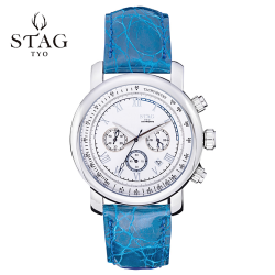 STG010S1