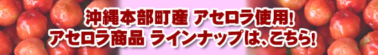 沖縄本部町のアセロラを使用したアセロラ商品ラインナップ！