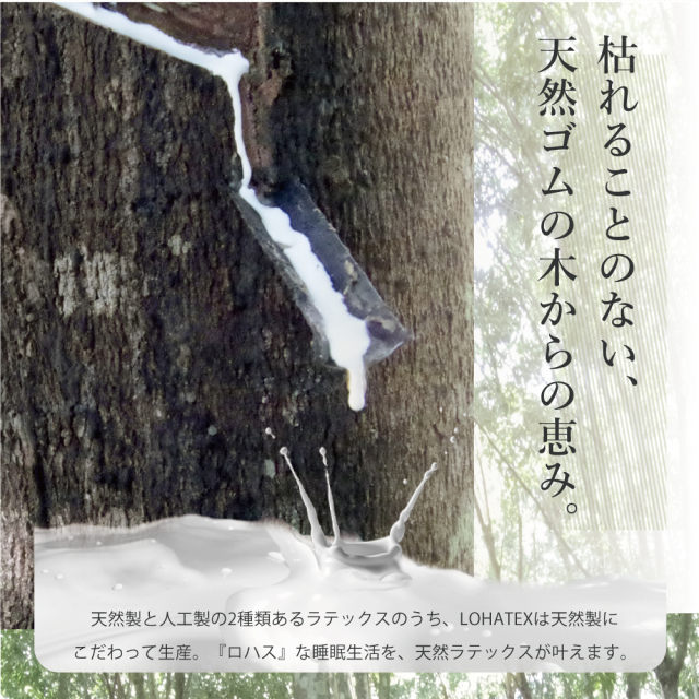 LOHATEX 三つ折りマットレス5ｃｍ