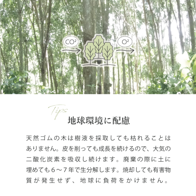 LOHATEX 三つ折りマットレス5ｃｍ