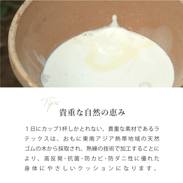 LOHATEX 三つ折りマットレス5ｃｍ