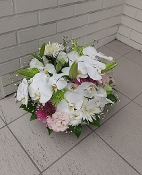 【完全予約制】白胡蝶蘭入りお供えアレンジ