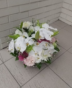 【完全予約制】白胡蝶蘭入りお供えアレンジ