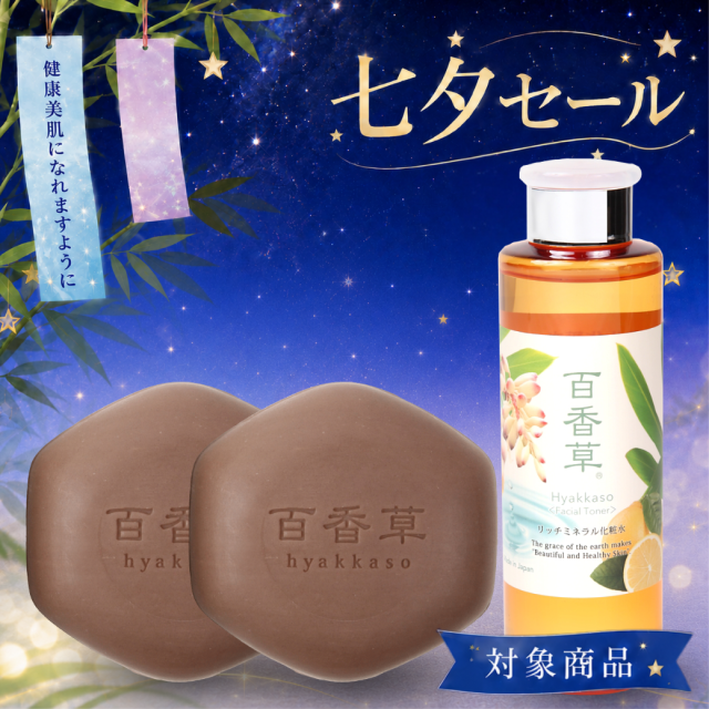 【17%OFF】【送料無料】思春期ニキビ3ヵ月セット（百香草美肌せっけん80g×1、リッチミネラル化粧水200ml×2）