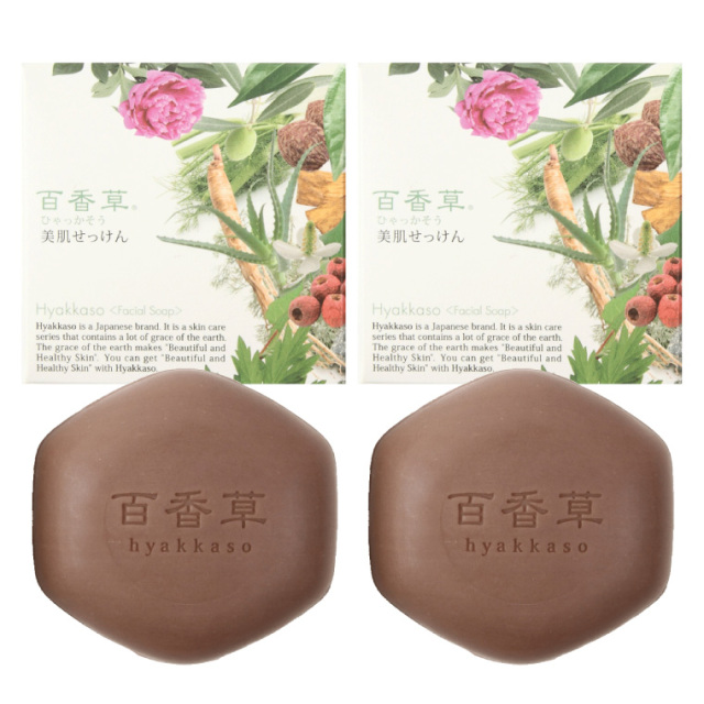 //image1.shopserve.jp/adom.co.jp/pic-labo/llimg/hyakkaso80-double.jpg?t=20260907191334