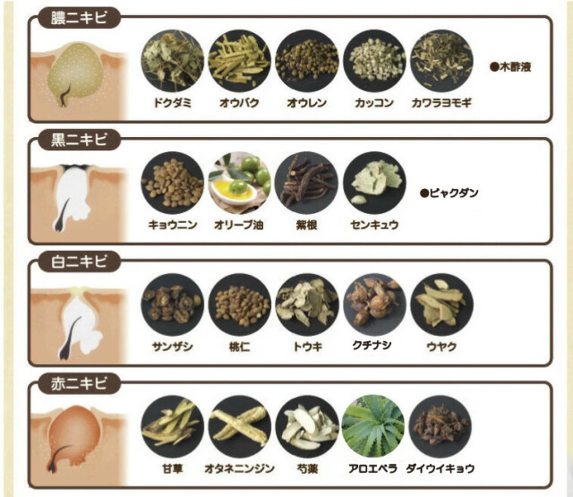 脱！大人ニキビ 健康美肌をつくる アドム｜百香草（Hyakkaso