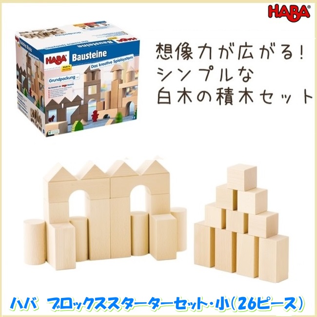 ニキーチン 模様づくり カードセット 積み木セット