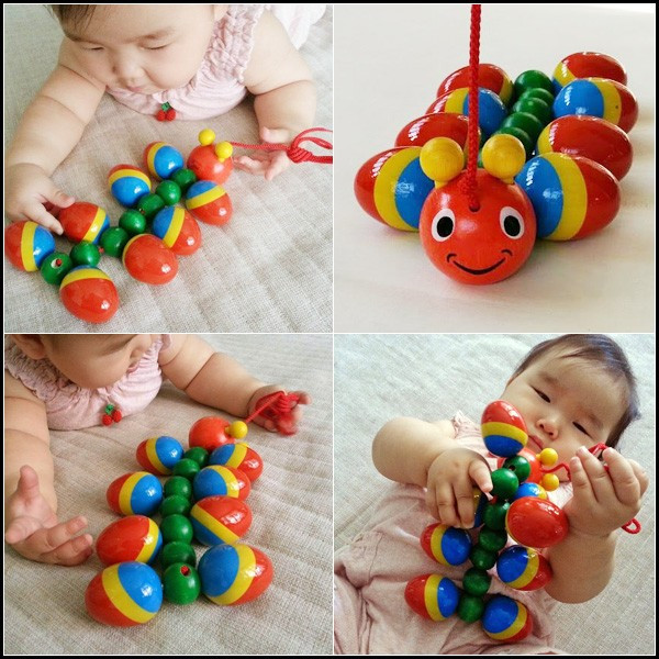 ニック プルトーイ WALTER むかで