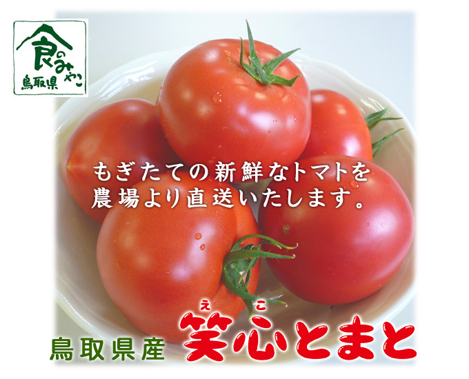 【期間限定・送料無料】鳥取県産笑心とまと（えことまと）◆約2kg箱（大きさおまかせ）◆
