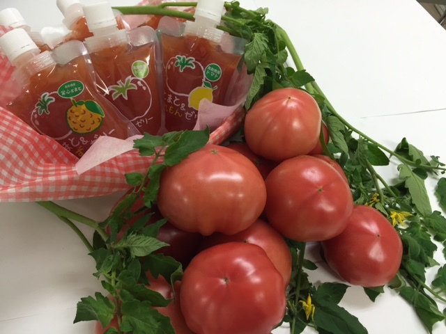 ◆送料無料◆とまとゼリー詰め合わせ（30個入り箱）