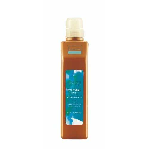 DEMI デミ ヘアシーズンズ アロマシロップス ミステリアスウインド トリートメント 550g