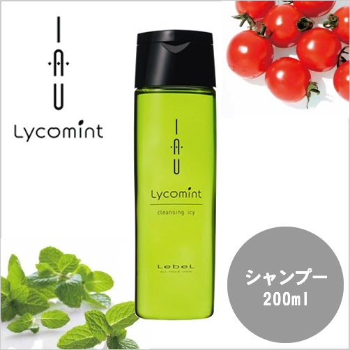 Lebelルベル イオ リコミント クレンジング ICY 200ml