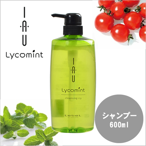 Lebelルベル イオ リコミント クレンジング ICY 600ml