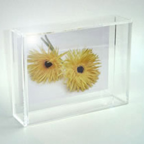 フレームCASE in キャビネサイズ 【AGE】