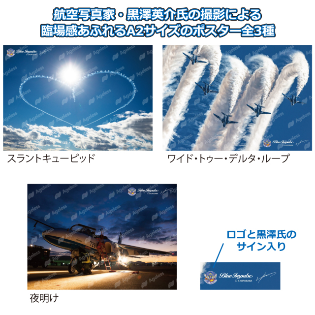 BLUR ブラー リバーシブルポスター Blur (Microsoft Xbox 360