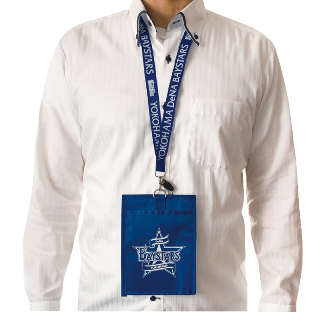 ベイスターズのチケット 横浜DeNAベイスターズ チケットホルダー 全2種 【メール便可】