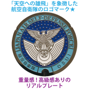 航空自衛隊