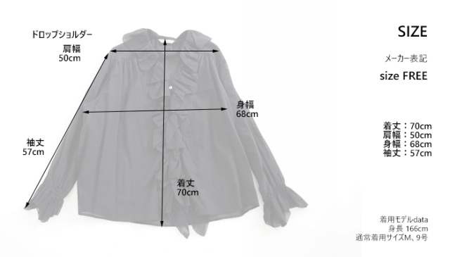 Liyoca リヨカ コットンシフォンフリルブラウス シアー 長袖 レディース