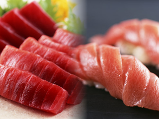 本マグロ赤身大トロ