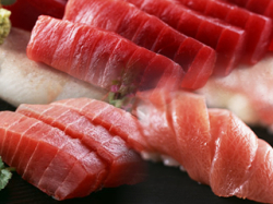 本マグロ赤身中トロ大トロ