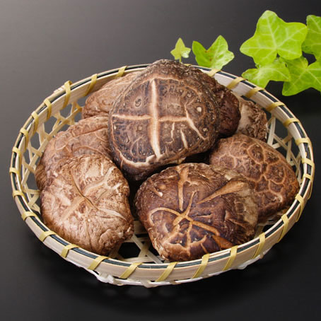 特選干し椎茸 上どんこ（じょうどんこ） 直径6cm前後 120g 化粧箱入り