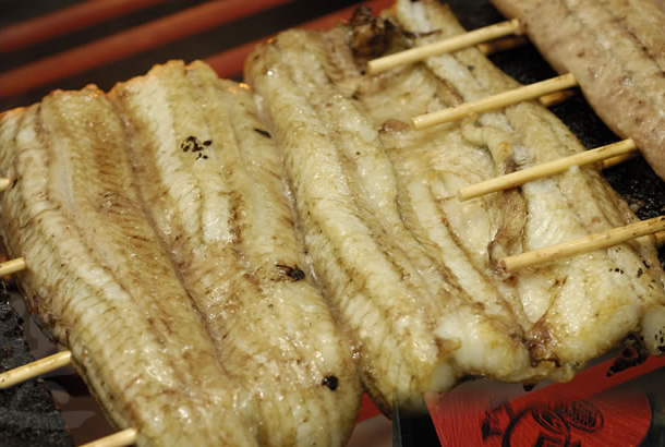 浜名湖産天然うなぎ 長白焼き 約1400g（140g×10本） 山椒、蒲焼きの