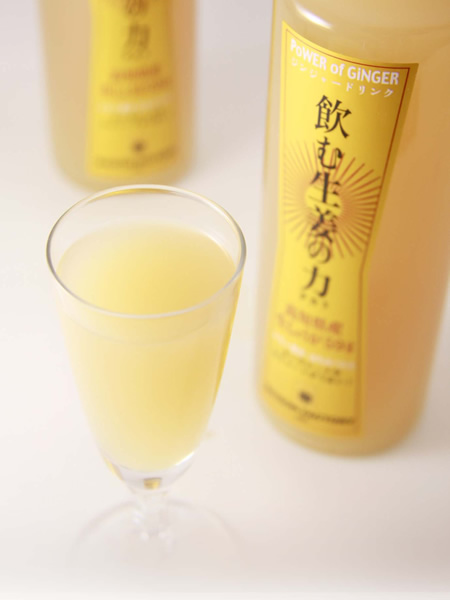 飲む生姜の力 1000ml 強烈なしょうがの味がクセになる高知県産生姜を