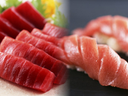 本マグロ赤身大トロ