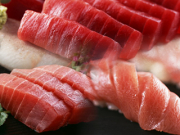 本マグロ赤身中トロ大トロ