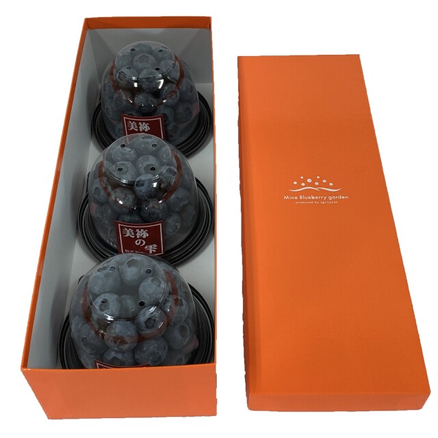 美祢の雫（自家栽培生ブルーベリー）－美祢ブルーベリーガーデン