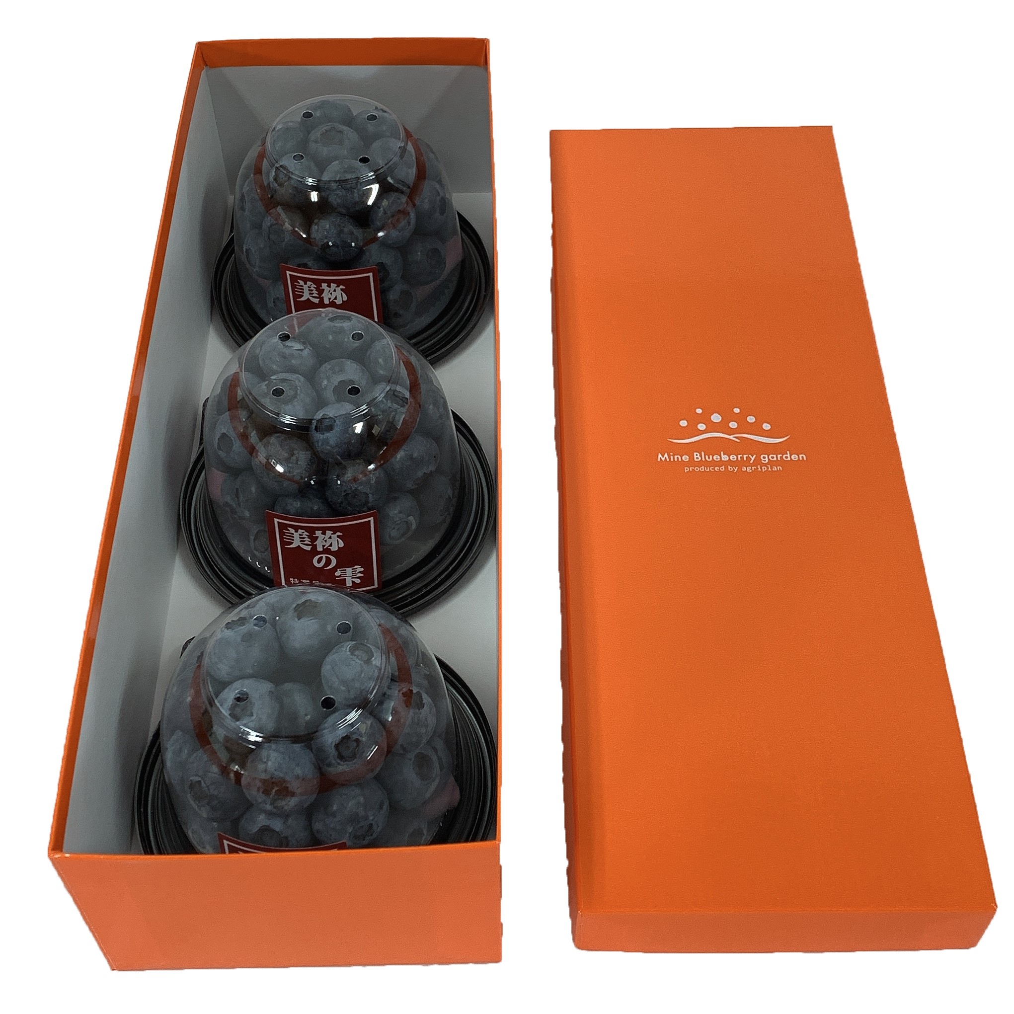 美祢の雫（自家栽培生ブルーベリー）－美祢ブルーベリーガーデン