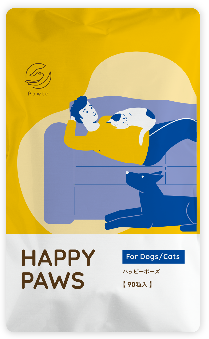 毎日一緒3個＆うちの脳活サポート2個セット+おまけ 犬猫サプリDHAEPA うちのかぞく 犬 クリルオイル 猫 サプリメント サプリ dha EPA
