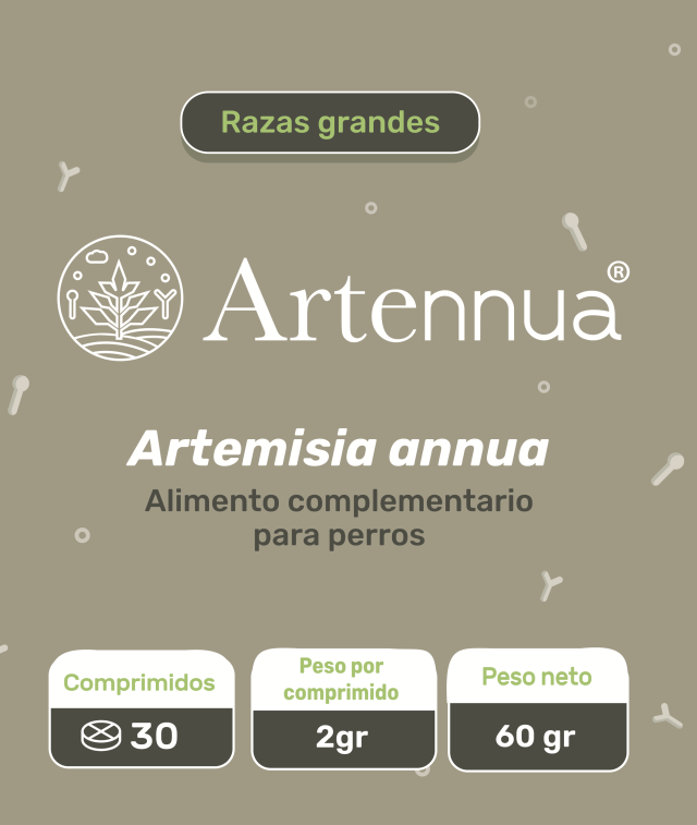 Artennua 大型犬用 アルテヌア タブレット 30回分