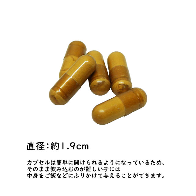 ハッピーポーズカプセル画像