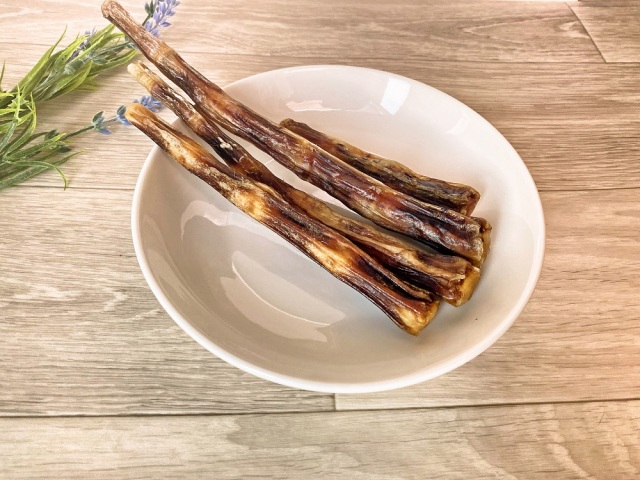 牛テール